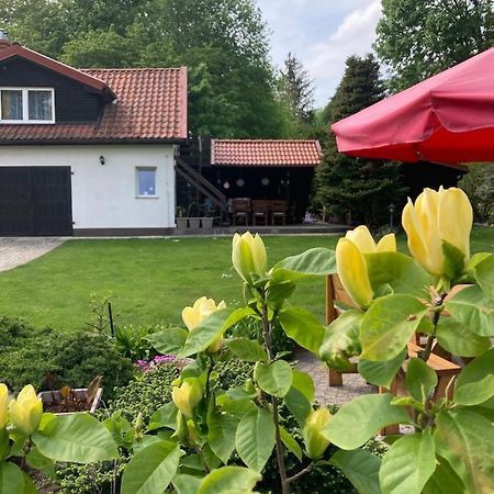 Apartament Magnolia Kruklanki Zewnętrze zdjęcie