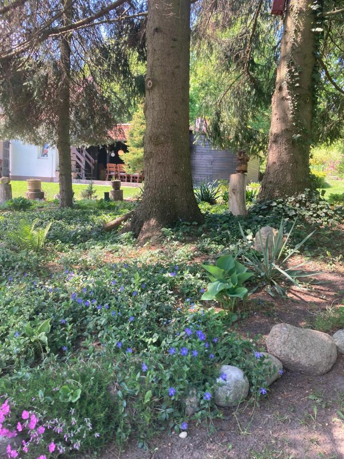 Apartament Magnolia Kruklanki Zewnętrze zdjęcie