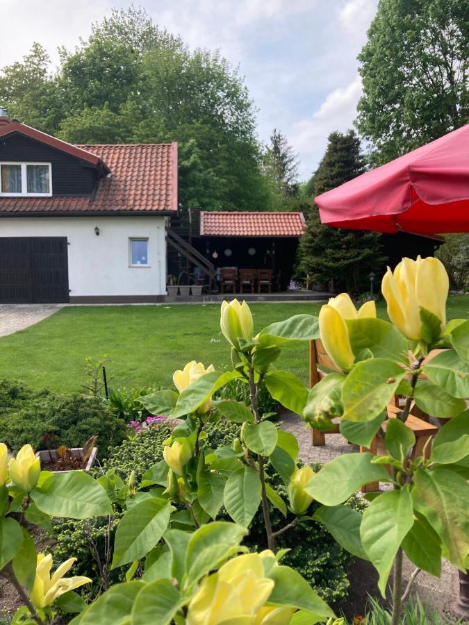 Apartament Magnolia Kruklanki Zewnętrze zdjęcie